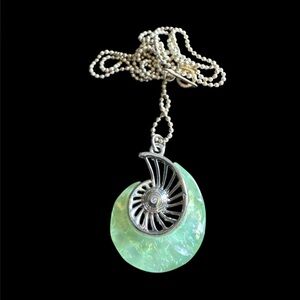 Resin ammolite necklace, EUC